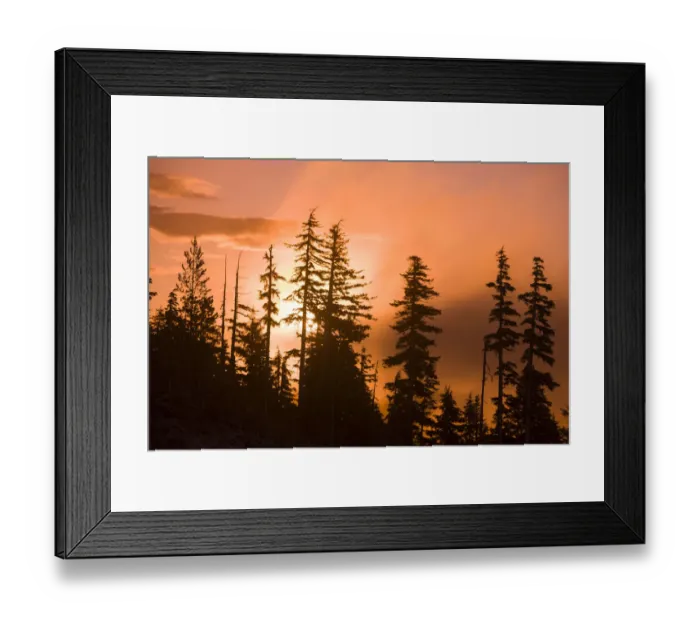 Framed Print : Sunrise scenic views near Timberline lodge, Lolo Pass, Mt. Hood Wilderness Area, Oregon