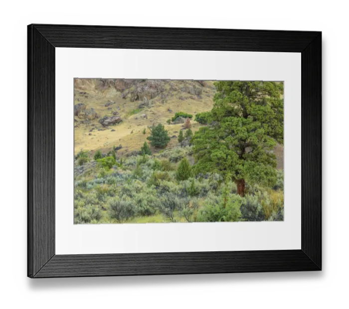Framed Print : Lower Deschutes River area, Central Oregon, USA