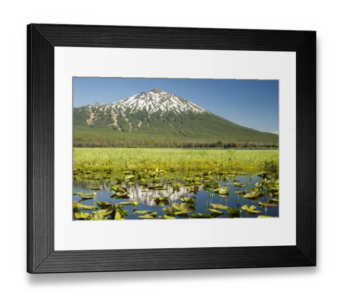 Framed Print : Lilly pads, marsh at Dutchman Flats, near Sparks Lake, Eastern Oregon, USA Framed Print : Lilly pads, marsh at Dutchman Flats, near Sparks Lake, Eastern Oregon, USA