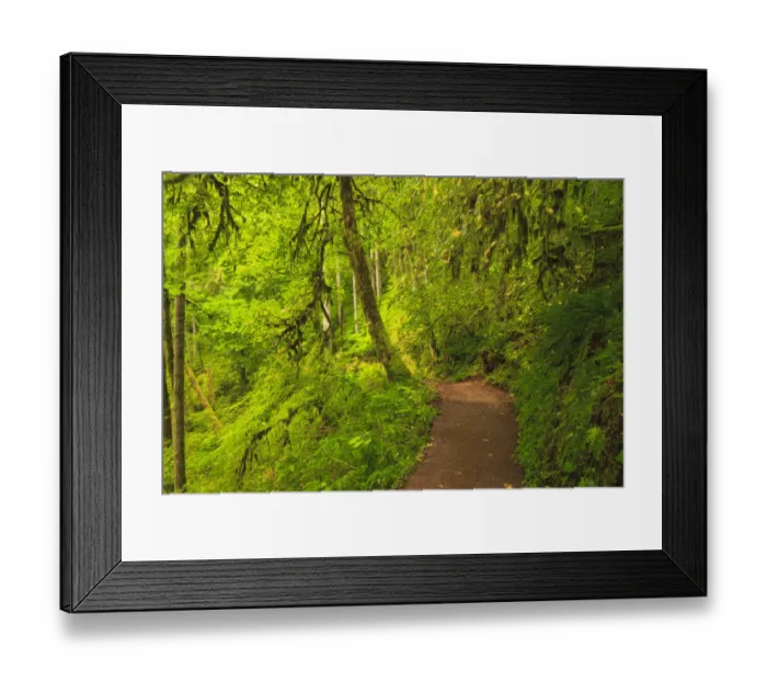 Framed Print : Trail of Ten Falls, Silver Falls State Park, near Silverton, Oregon Framed Print : Trail of Ten Falls, Silver Falls State Park, near Silverton, Oregon