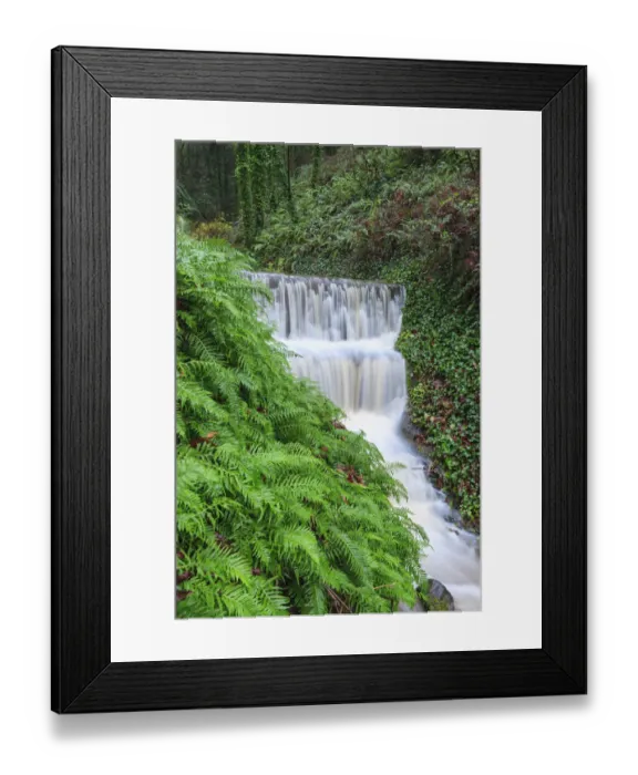 Framed Print : Seasonal creek on outskirts of Portland, Oregon, USA Framed Print : Seasonal creek on outskirts of Portland, Oregon, USA