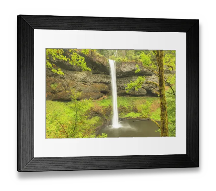 Framed Print : Trail of Ten Falls, Silver Falls State Park, near Silverton, Oregon Framed Print : Trail of Ten Falls, Silver Falls State Park, near Silverton, Oregon