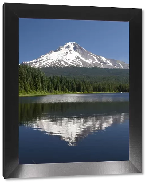 Trillium Lake, Mt. Hood National Forest, Mt. Hood in the background, Oregon, USA