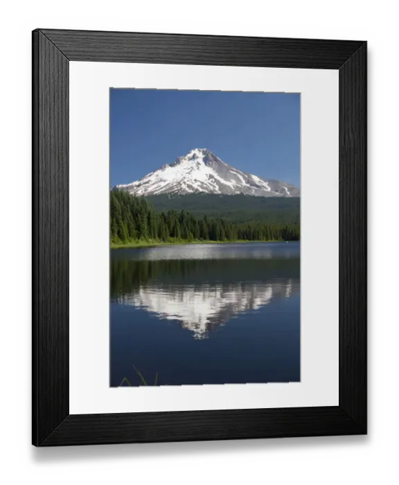 Framed Print : Trillium Lake, Mt. Hood National Forest, Mt. Hood in the background, Oregon, USA Framed Print : Trillium Lake, Mt. Hood National Forest, Mt. Hood in the background, Oregon, USA