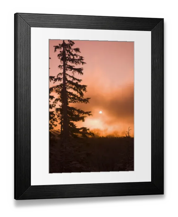 Framed Print : Sunrise scenic views near Timberline lodge, Lolo Pass, Mt. Hood Wilderness Area, Oregon Framed Print : Sunrise scenic views near Timberline lodge, Lolo Pass, Mt. Hood Wilderness Area, Oregon