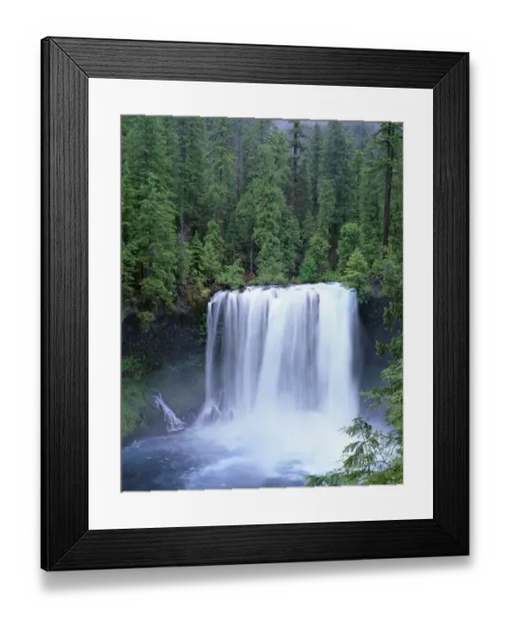 Framed Print : USA, Oregon. Willamette National Forest, McKenzie River plummets over Koosah Falls in spring