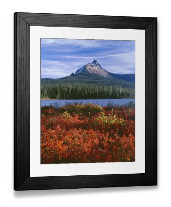 Framed Print : USA, Oregon. Willamette National Forest, Mount Washington rises beyond autumn-colored huckleberry Framed Print : USA, Oregon. Willamette National Forest, Mount Washington rises beyond autumn-colored huckleberry