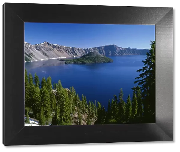 USA, Oregon. Crater Lake National Park, Wizard Island and Crater Lake with a grove