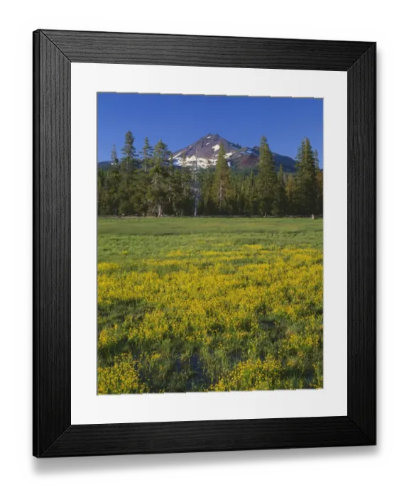 Framed Print : USA, Oregon. Deschutes National Forest, Broken Top rises above coniferous forest