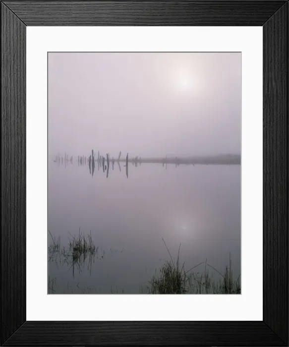 Framed Print : USA, Oregon. Deschutes National Forest, early morning sun breaks through fog over Framed Print : USA, Oregon. Deschutes National Forest, early morning sun breaks through fog over