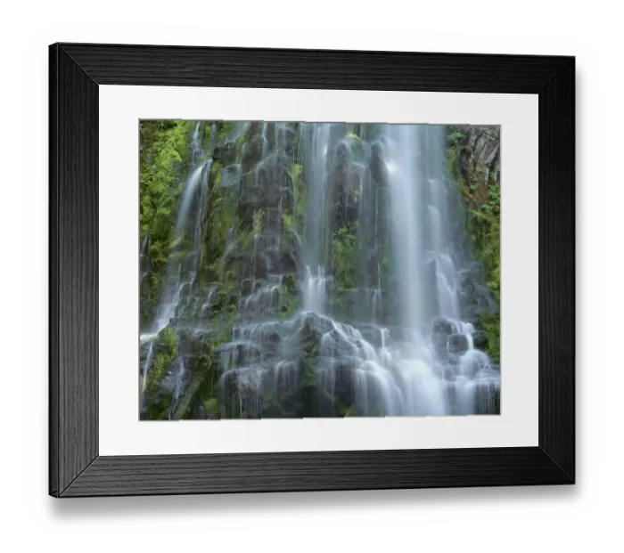 Framed Print : USA, Oregon. Willamette National Forest, Three Sisters Wilderness, Lower Proxy Falls and lush moss