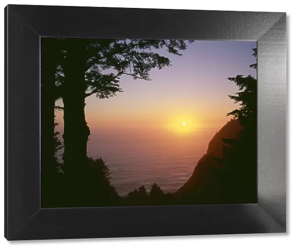 USA, Oregon. Oswald West State Park, summer sunset viewed from below Neahkanie Mountain