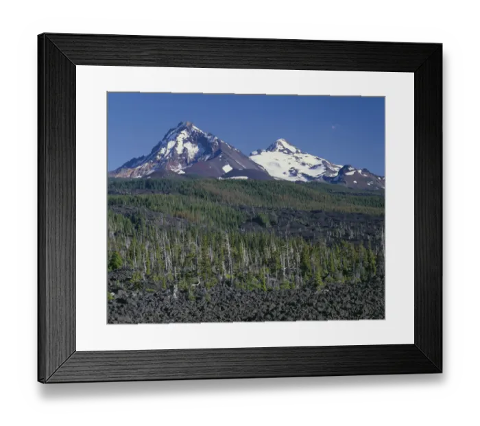 Framed Print : USA, Oregon. Three Sisters Wilderness, North (left) and Middle Sister (right) rise beyond conifers Framed Print : USA, Oregon. Three Sisters Wilderness, North (left) and Middle Sister (right) rise beyond conifers