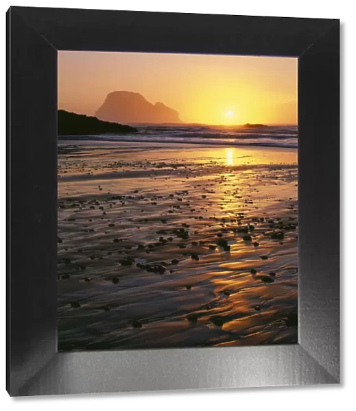 USA, Oregon. Sunset, tide-washed sand and Three Arch Rocks, near Oceanside