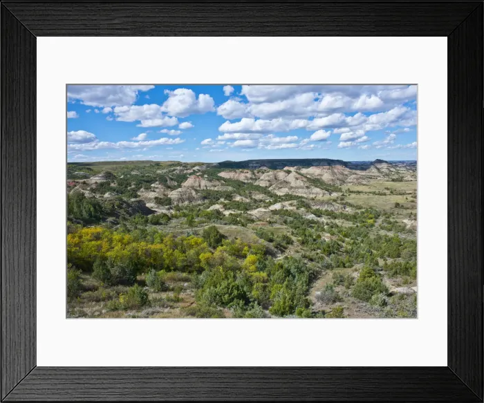 Framed Print : USA, North Dakota, Medora. Theodore Roosevelt National Park, South Unit, Painted Framed Print : USA, North Dakota, Medora. Theodore Roosevelt National Park, South Unit, Painted