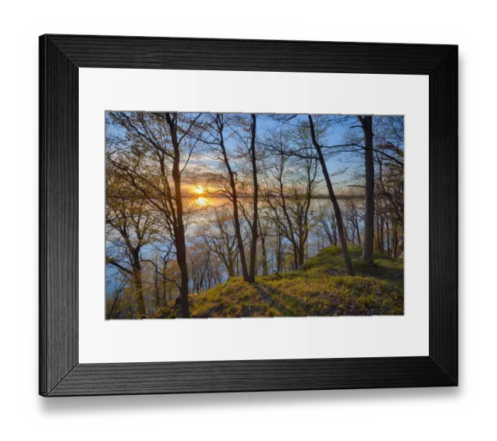 Framed Print : USA, New York State. Spring sunset through the trees, St. Lawrence River, Thousand Islands