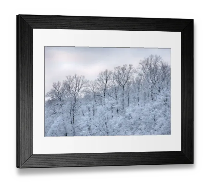 Framed Print : USA, New York State. Snow covered trees, Green Lakes State Park Framed Print : USA, New York State. Snow covered trees, Green Lakes State Park