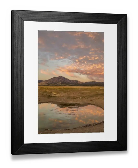 Framed Print : USA, Utah, Tooele County. Sunrise at a waterhole Framed Print : USA, Utah, Tooele County. Sunrise at a waterhole