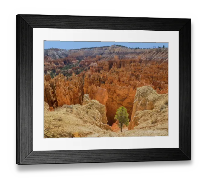 Framed Print : Utah, Bryce Canyon National Park. View of canyon with hoodoos