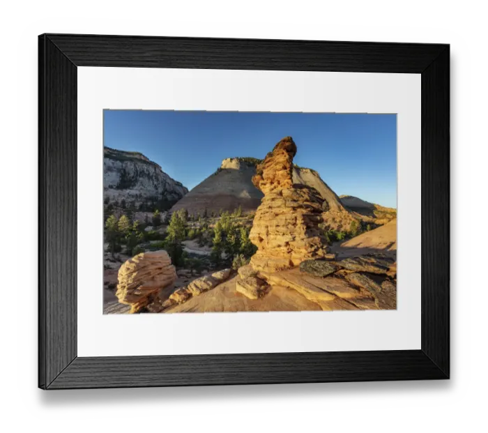 Framed Print : Hoodoos on the eastside in Zion National Park, Utah, USA Framed Print : Hoodoos on the eastside in Zion National Park, Utah, USA