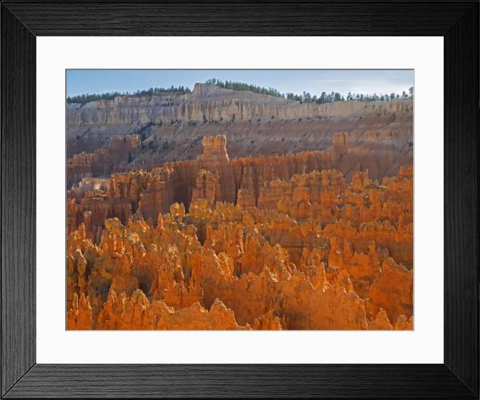 Framed Print : Utah, Bryce Canyon National Park. View of canyon with hoodoos Framed Print : Utah, Bryce Canyon National Park. View of canyon with hoodoos
