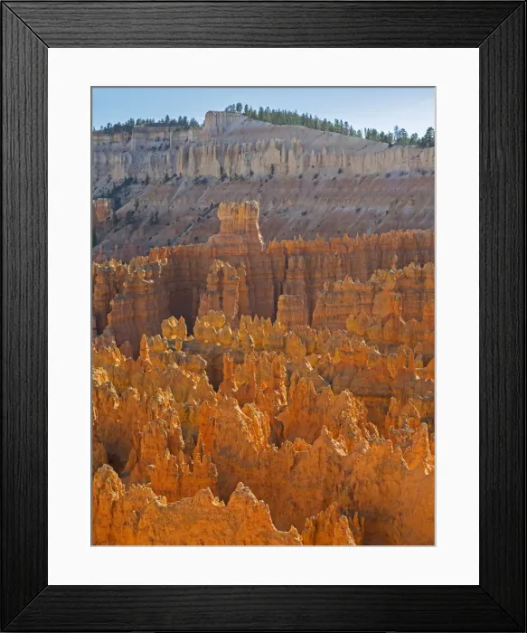 Framed Print : Utah, Bryce Canyon National Park. View of canyon with hoodoos