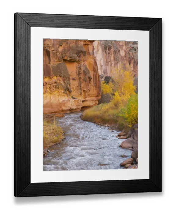 Framed Print : Utah, Capitol Reef National Park, Cottonwood trees and Fremont River Framed Print : Utah, Capitol Reef National Park, Cottonwood trees and Fremont River