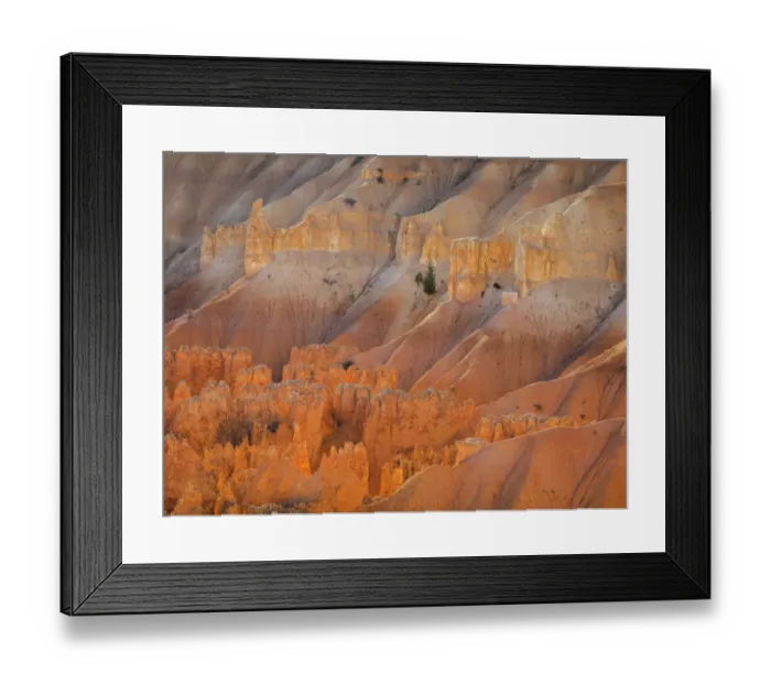 Framed Print : Utah, Bryce Canyon National Park. View of canyon with hoodoos Framed Print : Utah, Bryce Canyon National Park. View of canyon with hoodoos