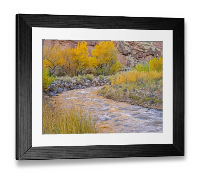 Framed Print : Utah, Capitol Reef National Park, Cottonwood trees and Fremont River Framed Print : Utah, Capitol Reef National Park, Cottonwood trees and Fremont River
