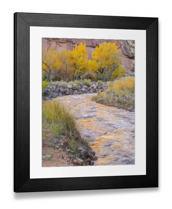 Framed Print : Utah, Capitol Reef National Park, Cottonwood trees and Fremont River Framed Print : Utah, Capitol Reef National Park, Cottonwood trees and Fremont River