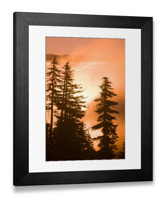 Framed Print : Sunrise scenic views near Timberline Lodge, Lolo Pass, Mt. Hood Wilderness Area, Oregon