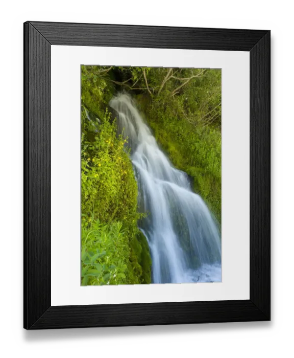 Framed Print : Roadside waterfall near Mt. Hood, Mt. Hood National Forest, Oregon