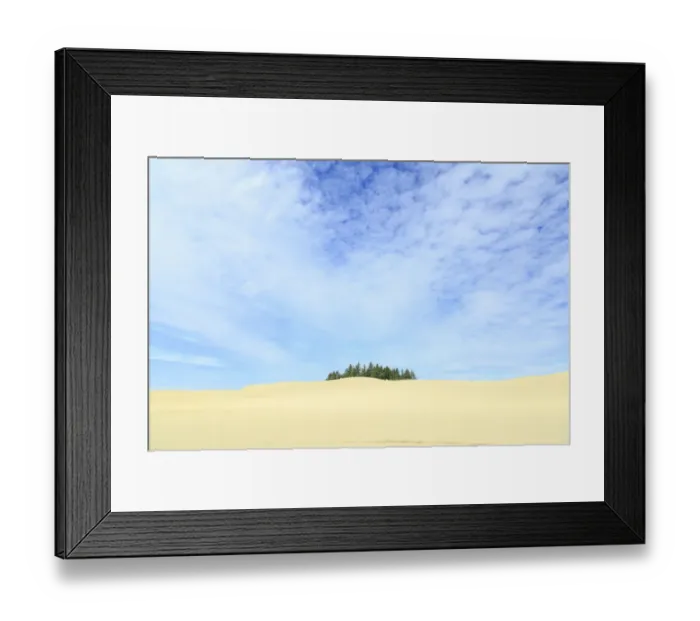 Framed Print : Oregon Dunes National Recreation Area, Oregon Coast near Reedsport Framed Print : Oregon Dunes National Recreation Area, Oregon Coast near Reedsport