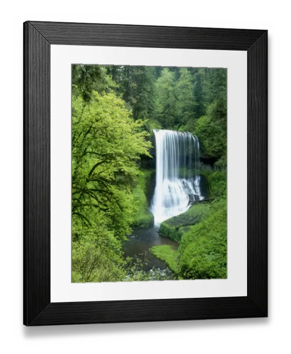 Framed Print : North-Middle Falls, Silver Falls State Park, Oregon Framed Print : North-Middle Falls, Silver Falls State Park, Oregon