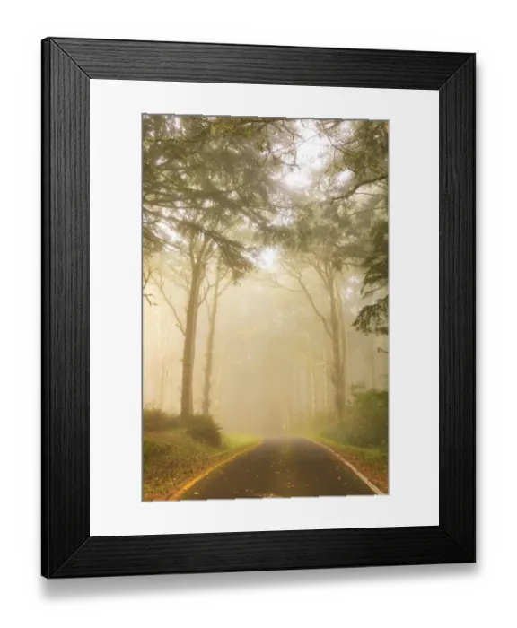 Framed Print : Cape Perpetua State Park, Oregon Coast, USA Framed Print : Cape Perpetua State Park, Oregon Coast, USA