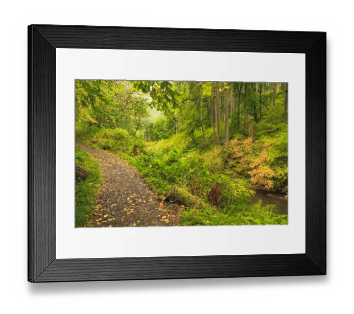 Framed Print : Trail of Ten Falls, Silver Falls State Park, near Silverton, Oregon Framed Print : Trail of Ten Falls, Silver Falls State Park, near Silverton, Oregon