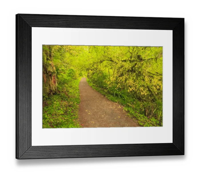 Framed Print : Trail of Ten Falls, Silver Falls State Park, near Silverton, Oregon Framed Print : Trail of Ten Falls, Silver Falls State Park, near Silverton, Oregon
