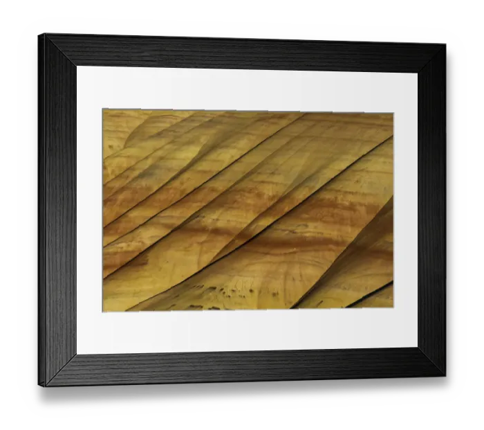 Framed Print : Painted Hills, John Day Fossil Beds, Mitchell, Oregon, USA Framed Print : Painted Hills, John Day Fossil Beds, Mitchell, Oregon, USA