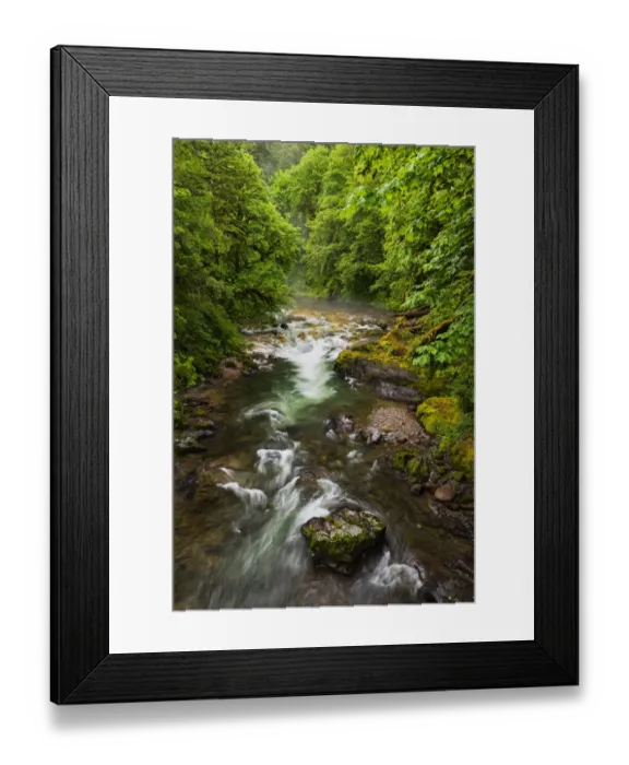 Framed Print : Flowing stream meandering through forest Framed Print : Flowing stream meandering through forest
