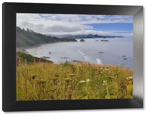 View of Cannon Beach with seastack with rising fog from Ecola State Park