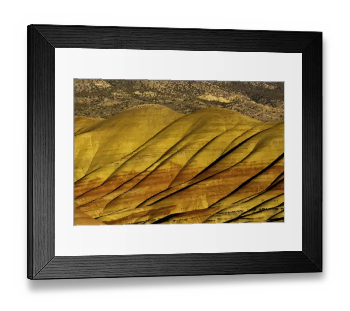 Framed Print : Overlook detail, Painted Hills, John Day Fossil Beds, Mitchell, Oregon, USA