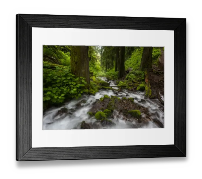 Framed Print : Soft moving stream through a canyon of forest Framed Print : Soft moving stream through a canyon of forest