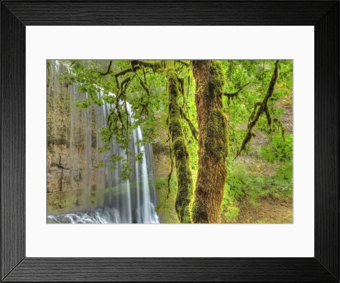Framed Print : Trail of Ten Falls, Silver Falls State Park, near Silverton, Oregon Framed Print : Trail of Ten Falls, Silver Falls State Park, near Silverton, Oregon