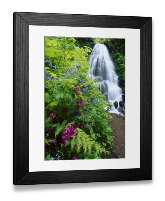 Framed Print : Fairy Falls, wildflowers, Columbia Gorge, Oregon
