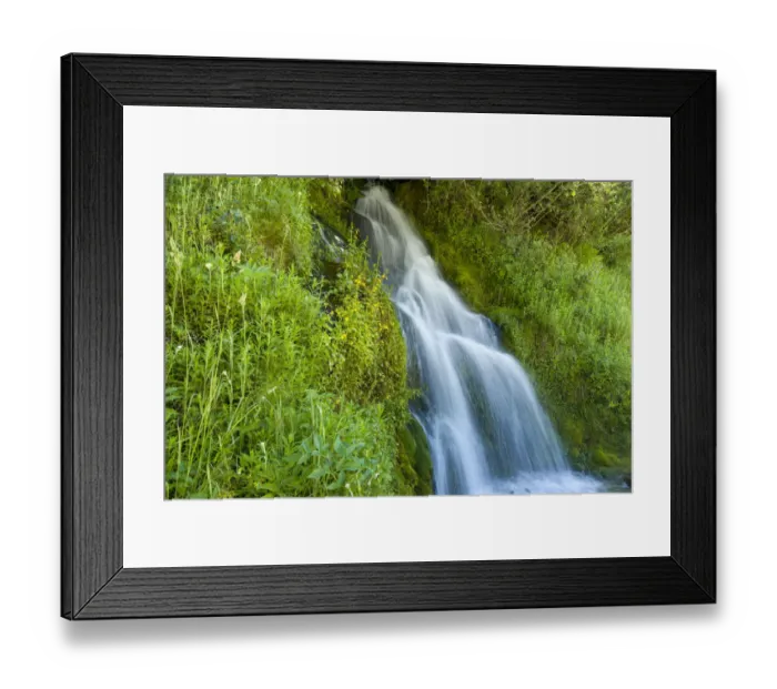 Framed Print : Roadside waterfall near Mt. Hood, Mt. Hood National Forest, Oregon Framed Print : Roadside waterfall near Mt. Hood, Mt. Hood National Forest, Oregon