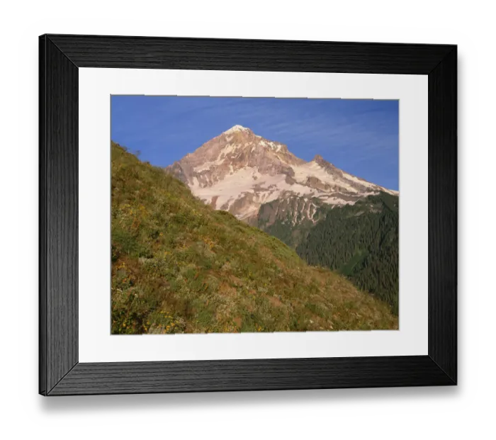 Framed Print : USA, Oregon, Mount Hood National Forest. Mount Hood Wilderness, West side of Mount Hood Framed Print : USA, Oregon, Mount Hood National Forest. Mount Hood Wilderness, West side of Mount Hood