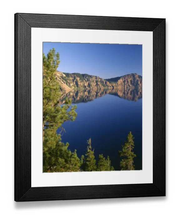 Framed Print : USA, Oregon, Crater Lake National Park. Whitebark pines frame view south from Palisade