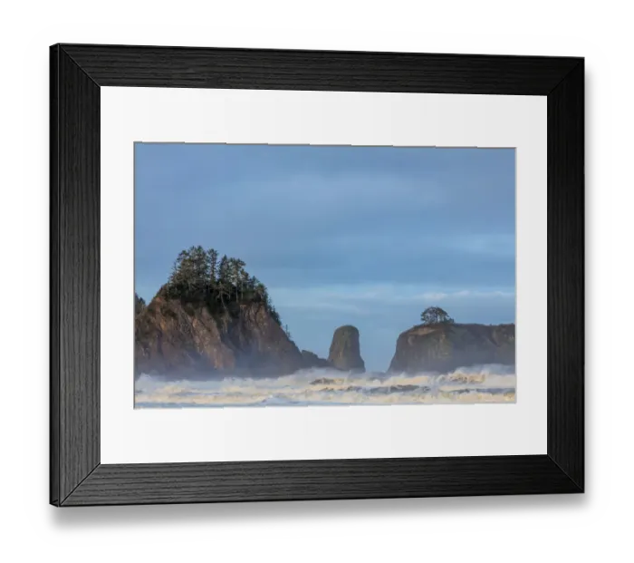 Framed Print : Sea stacks and waves at first light on Rialto Beach in Olympic National Park, Washington State Framed Print : Sea stacks and waves at first light on Rialto Beach in Olympic National Park, Washington State