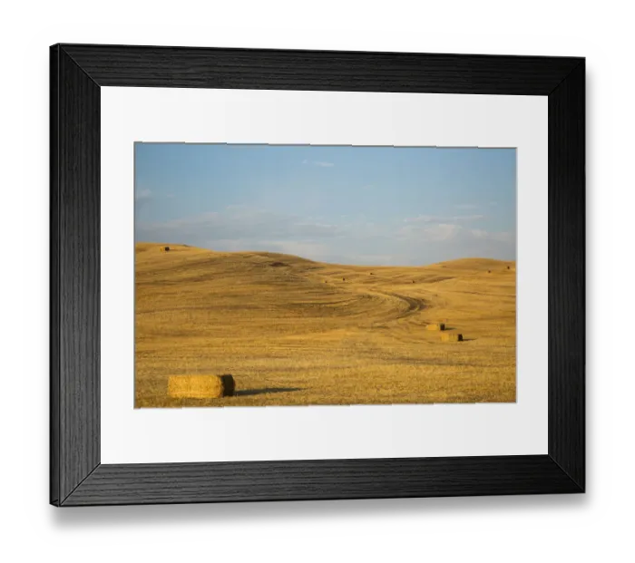 Framed Print : USA, Washington State, Palouse. Bales of straw in field Framed Print : USA, Washington State, Palouse. Bales of straw in field