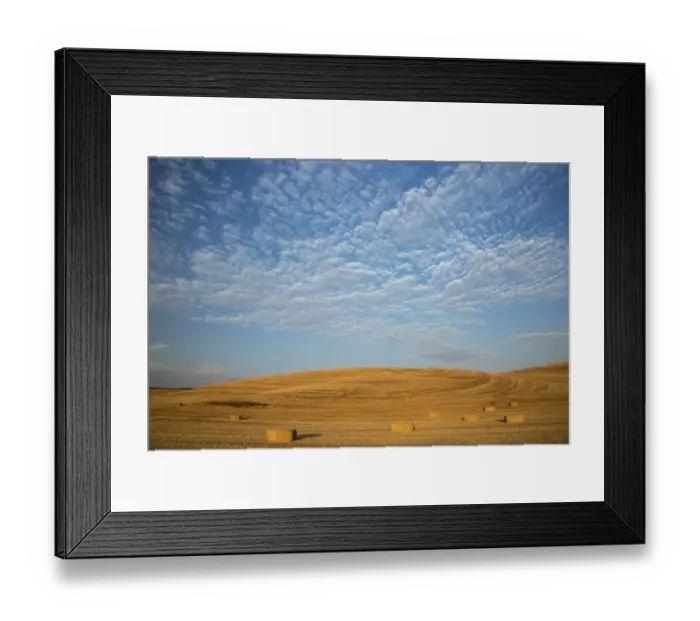 Framed Print : USA, Washington State, Palouse. Bales of straw in field Framed Print : USA, Washington State, Palouse. Bales of straw in field
